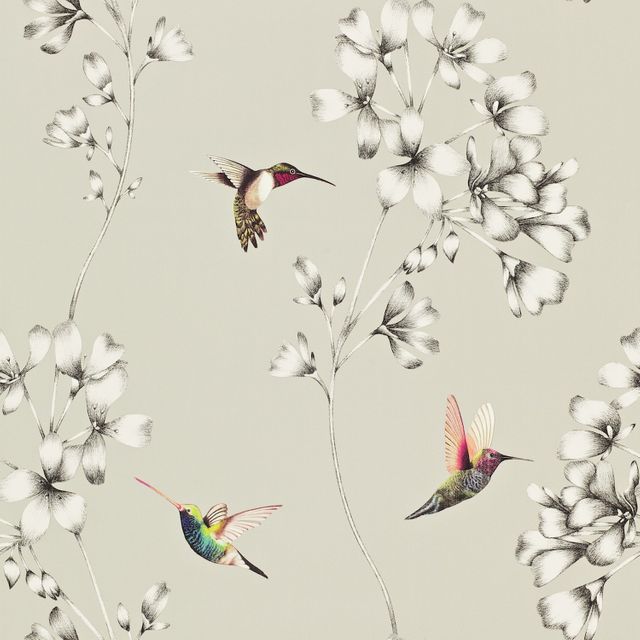 Harlequin Amazilia Amazilia Silver Wallpaper