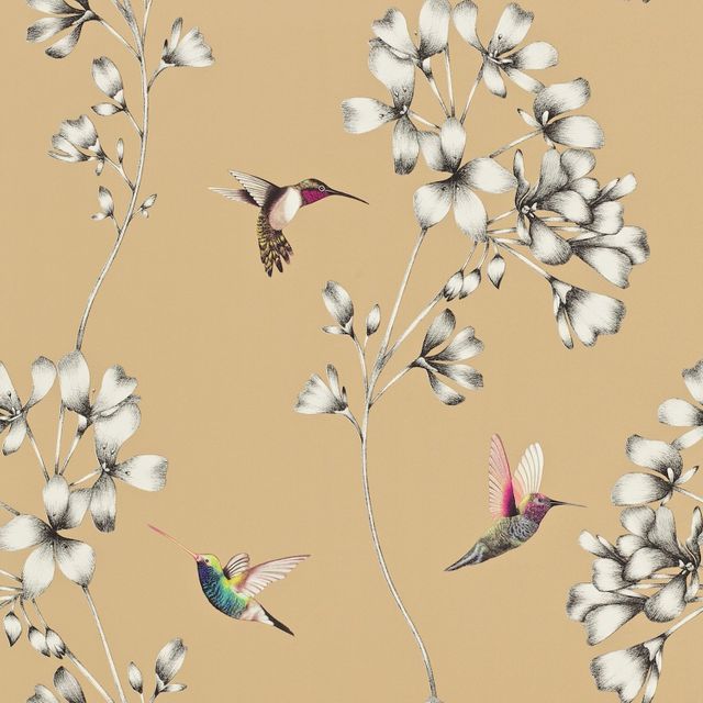 Harlequin Amazilia Amazilia Bronze Wallpaper