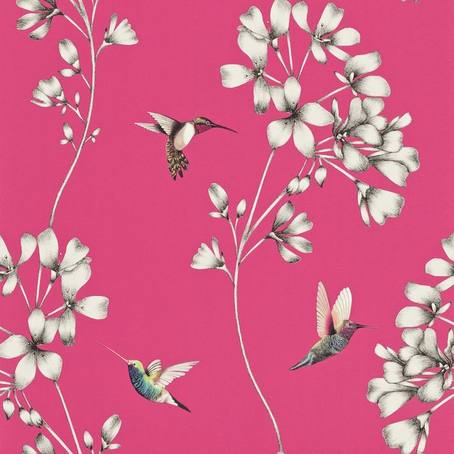 Amazilia Flamingo Wallpaper