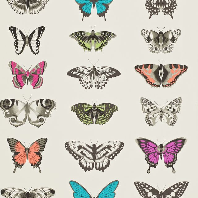 Harlequin Amazilia Papilio Flamingo / Papaya / Olive Wallpaper