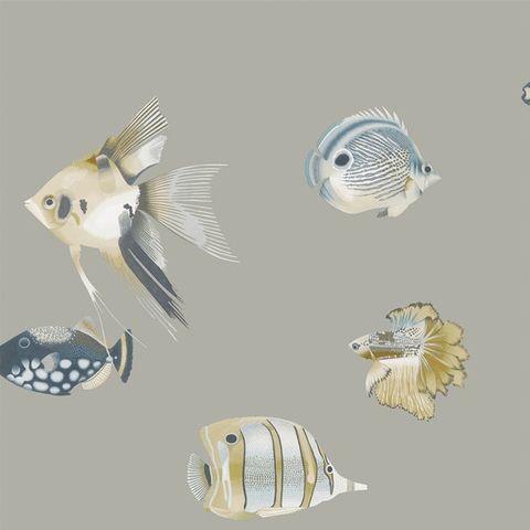 Kamanu Graphite/Mustard Wallpaper