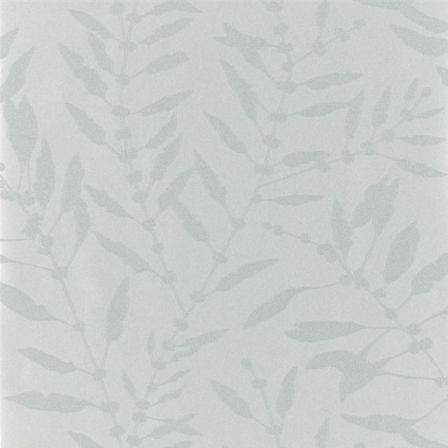 Harlequin Anthozoa Chaconia Shimmer Stone Wallpaper