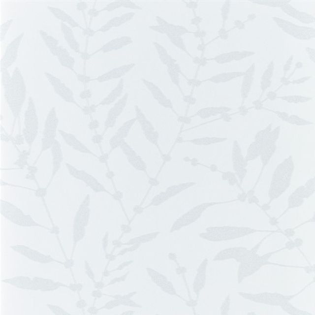 Harlequin Anthozoa Chaconia Shimmer Pearl Wallpaper