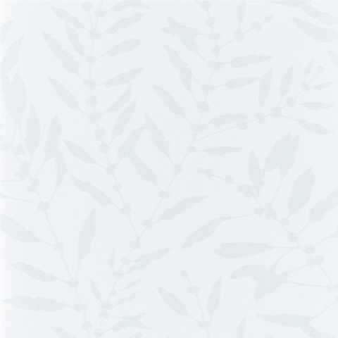 Chaconia Shimmer Blush Wallpaper