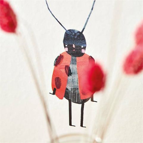 Harlequin Book of little treasures Garden Friends Poppy/Ochre/Leaf Wallpaper