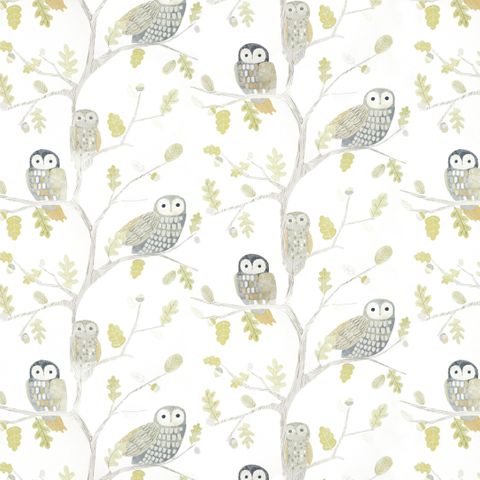Little Owls Kiwi Wallpaper
