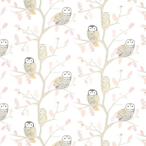 Little Owls Powder Wallpaper