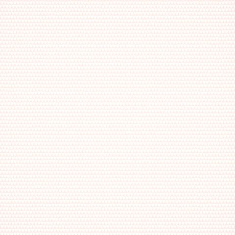 Little Hearts Powder Wallpaper