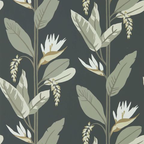 Llenya Jet/Stone/Gold Wallpaper