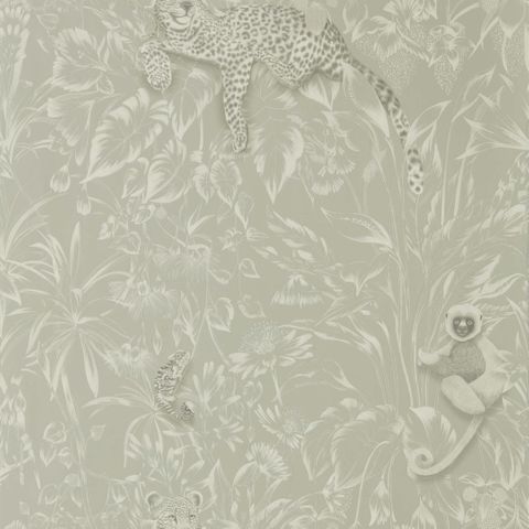 Lengau Oyster Wallpaper