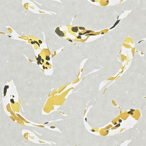 Koi Saffron Wallpaper