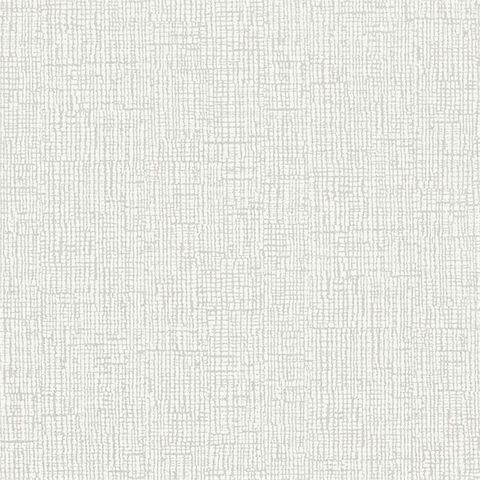 Accent Dove Wallpaper