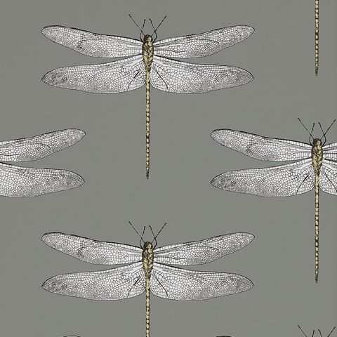 Demoiselle Graphite/Almond Wallpaper
