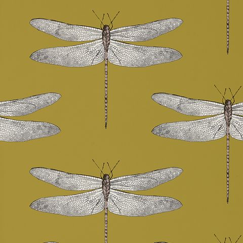 Demoiselle Ochre/Grape Wallpaper