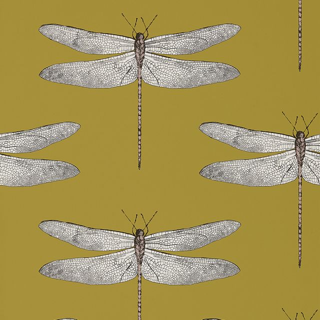 Harlequin Palmetto Demoiselle Ochre/Grape Wallpaper