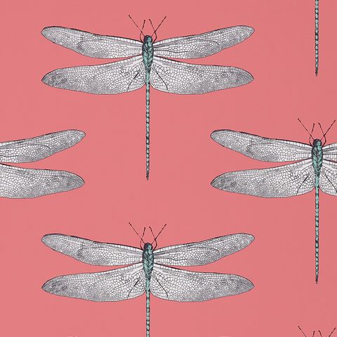 Demoiselle Coral/Mint Wallpaper