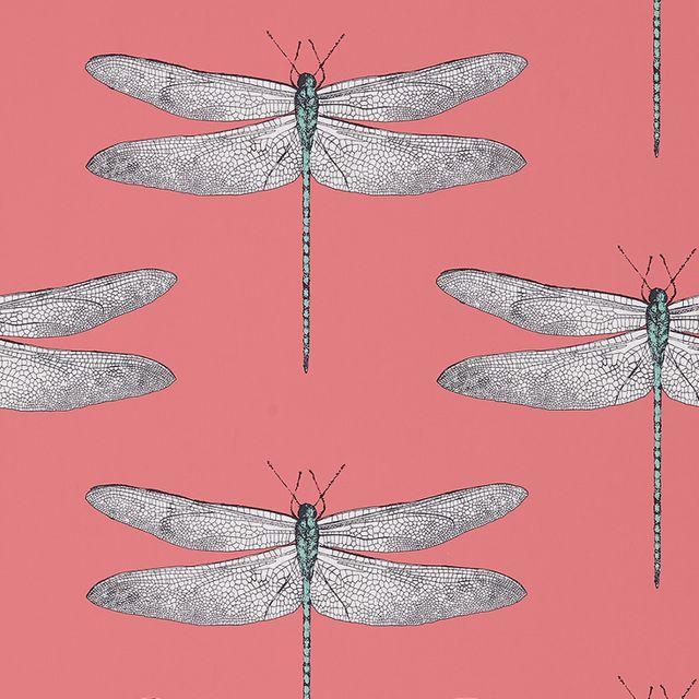 Harlequin Palmetto Demoiselle Coral/Mint Wallpaper