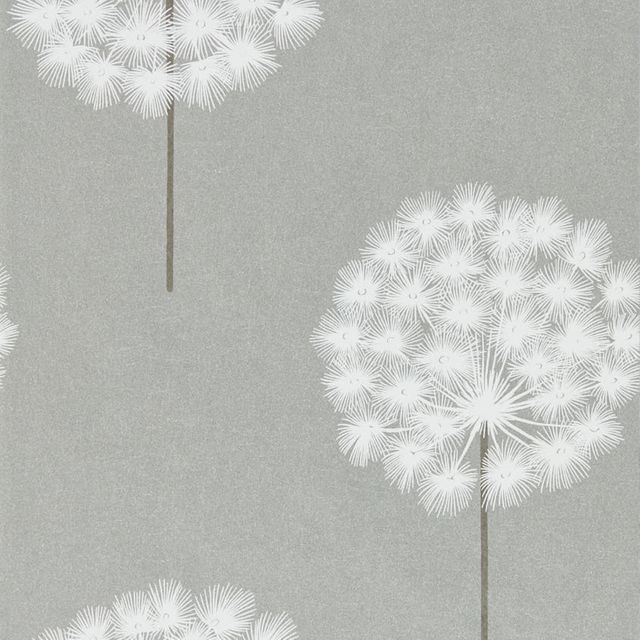 Harlequin Paloma Amity Silver/Chalk Wallpaper