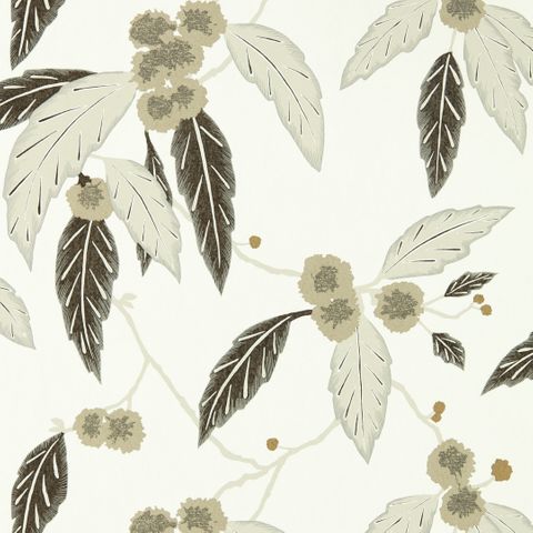 Coppice Oyster / Ebony / Gilver Wallpaper