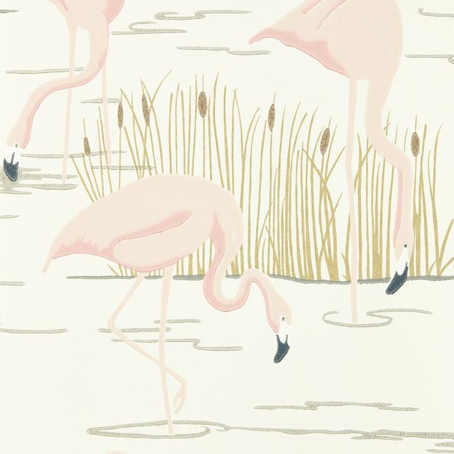 Harlequin Salinas Prints & Weaves Salinas Champagne / Rose / Gold Wallpaper