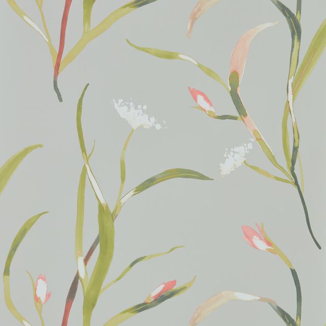 Harlequin Zapara Wallpapers Saona Coral/Silver Wallpaper