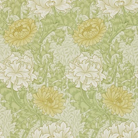 Chrysanthemum Pale Olive Wallpaper