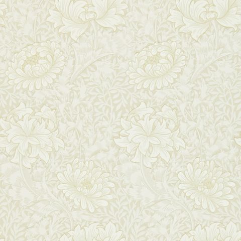 Chrysanthemum Chalk Wallpaper