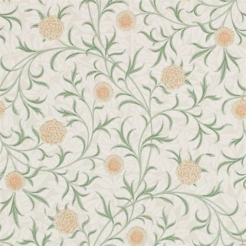 Scroll Thyme/Pear Wallpaper