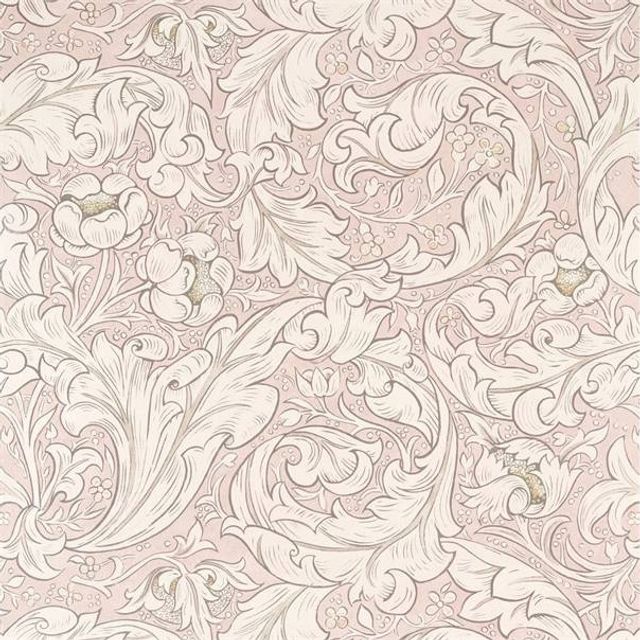 Pure Bachelors Button Faded Sea Pink Wallpaper