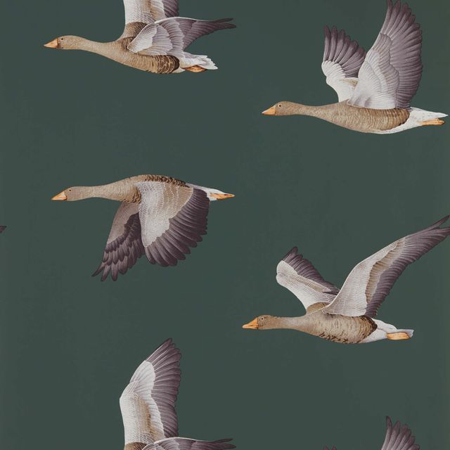 Sanderson Elysian Wallpapers Elysian Geese Amsterdam Green Wallpaper