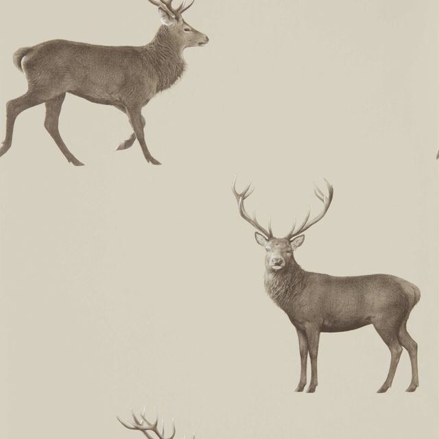 Evesham Deer Birch Wallpaper