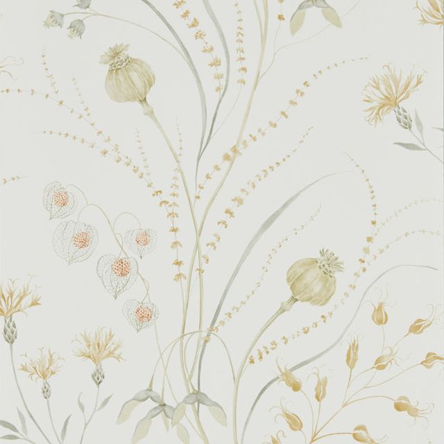 Sanderson Embleton Bay Wallpapers Summer Harvest Silver Corn Wallpaper