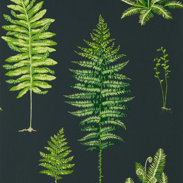 Fernery Botanical Green/Charcoal Wallpaper