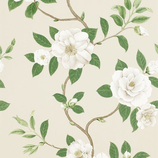 Sanderson Voyage of Discovery Christabel Ivory/Cream Wallpaper