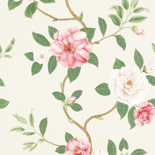 Sanderson Voyage of Discovery Christabel Coral/Ivory Wallpaper