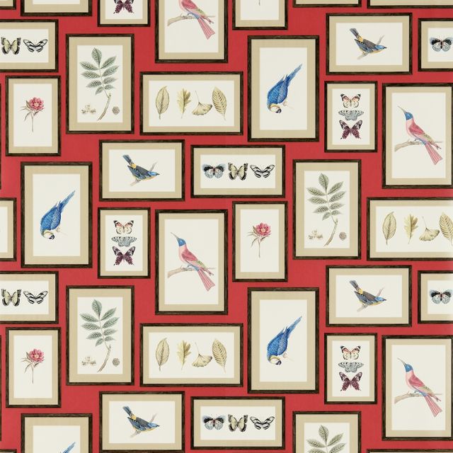 Sanderson Voyage of Discovery Picture Gallery Red/Multi Wallpaper