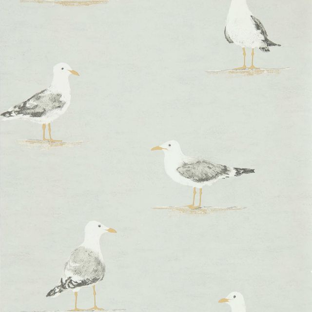 Shore Birds Gull Wallpaper