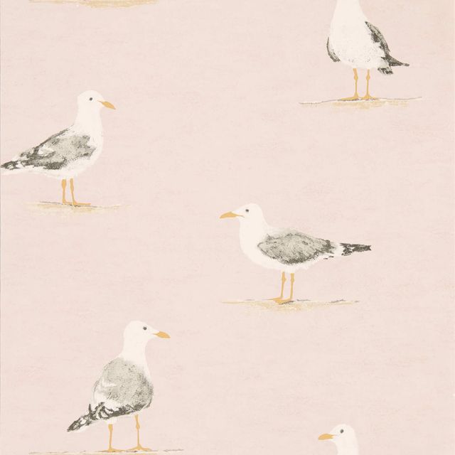 Shore Birds Blush Wallpaper