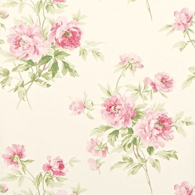 Sanderson Caverley Wallpapers Adele Rose/Cream Wallpaper