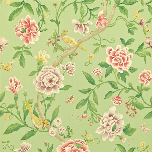 Sanderson Caverley Wallpapers Porcelain Garden Rose/Fennel Wallpaper