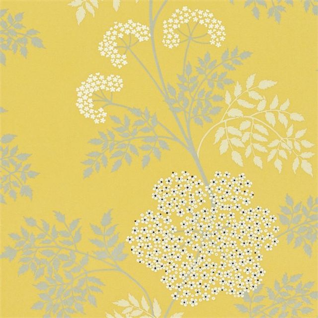 Sanderson Options 10 Wallpapers Cowparsley Chinese Yellow Wallpaper