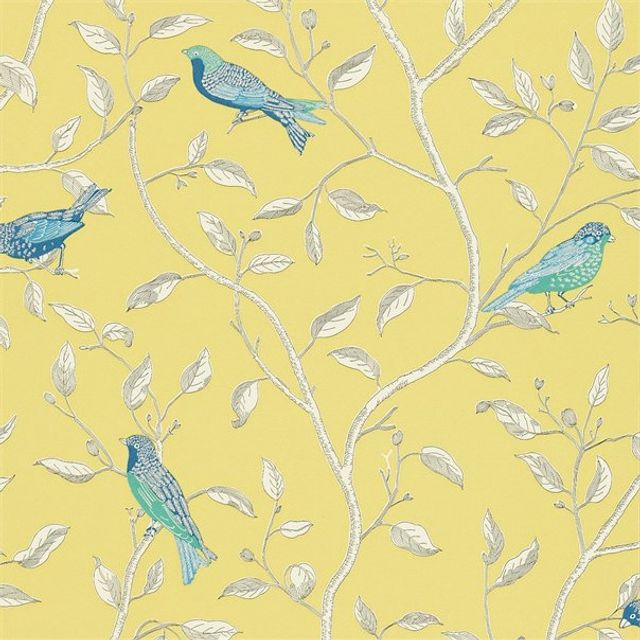 Sanderson Options 10 Wallpapers Finches Yellow Wallpaper