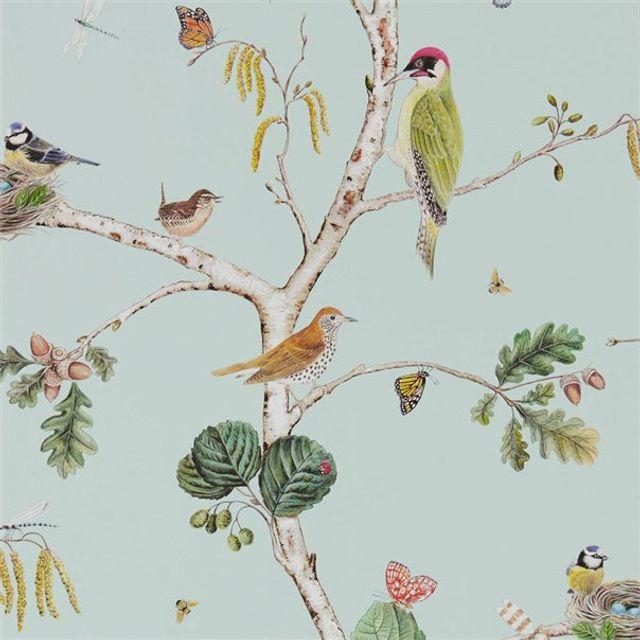 Sanderson Woodland Walk Wallpapers Woodland Chorus Sky Blue/Multi Wallpaper