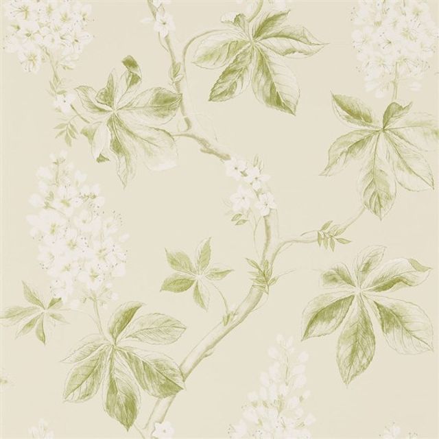 Sanderson Woodland Walk Wallpapers Chestnut Tree Lemon/Lettuce Wallpaper