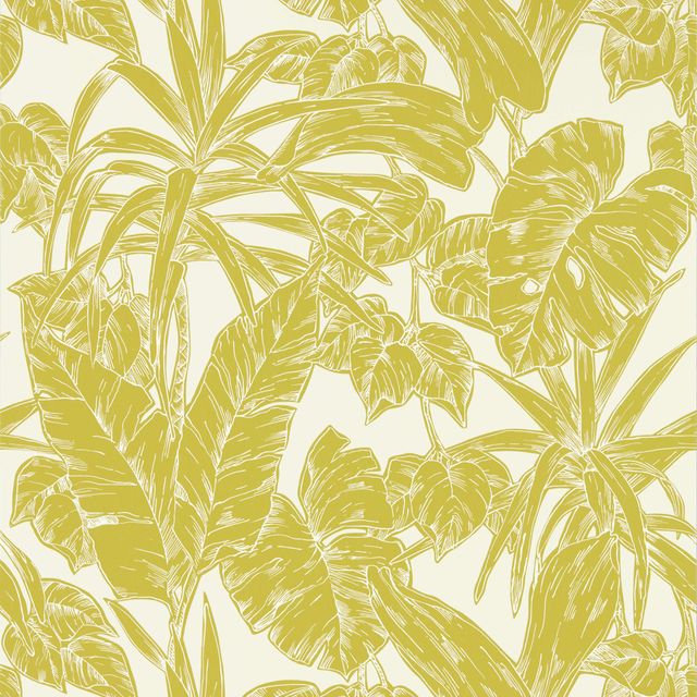 Parlour Palm Citrus Wallpaper