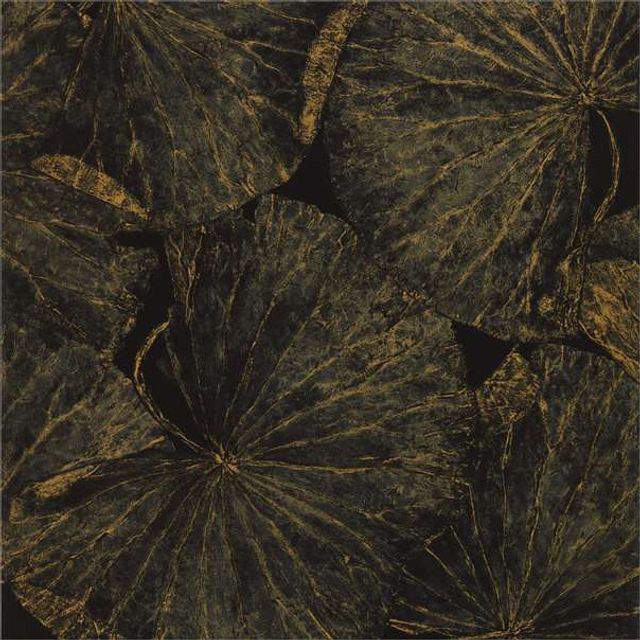 Zoffany The Muse Wallcoverings Taisho Deco Vine Black Wallpaper