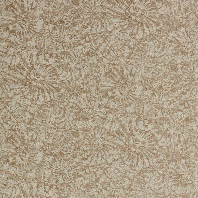 Anthology Anthology 07 Ammonite Sandstone Wallpaper