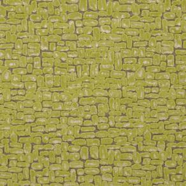 Clarke and Clarke Dimensions Moda Citrus