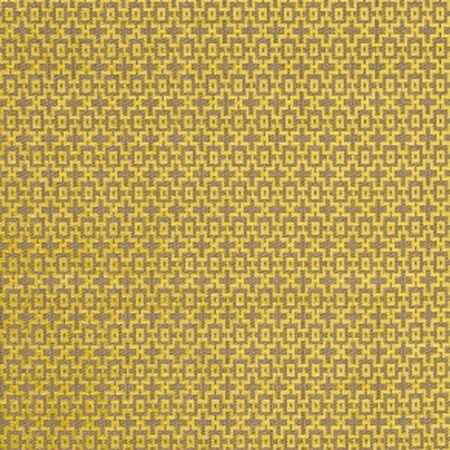 Clarke and Clarke Latour Mansour Citrus