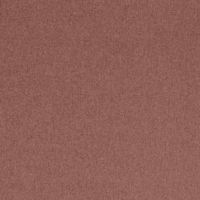 Clarke and Clarke Highlander Highlander Cameo